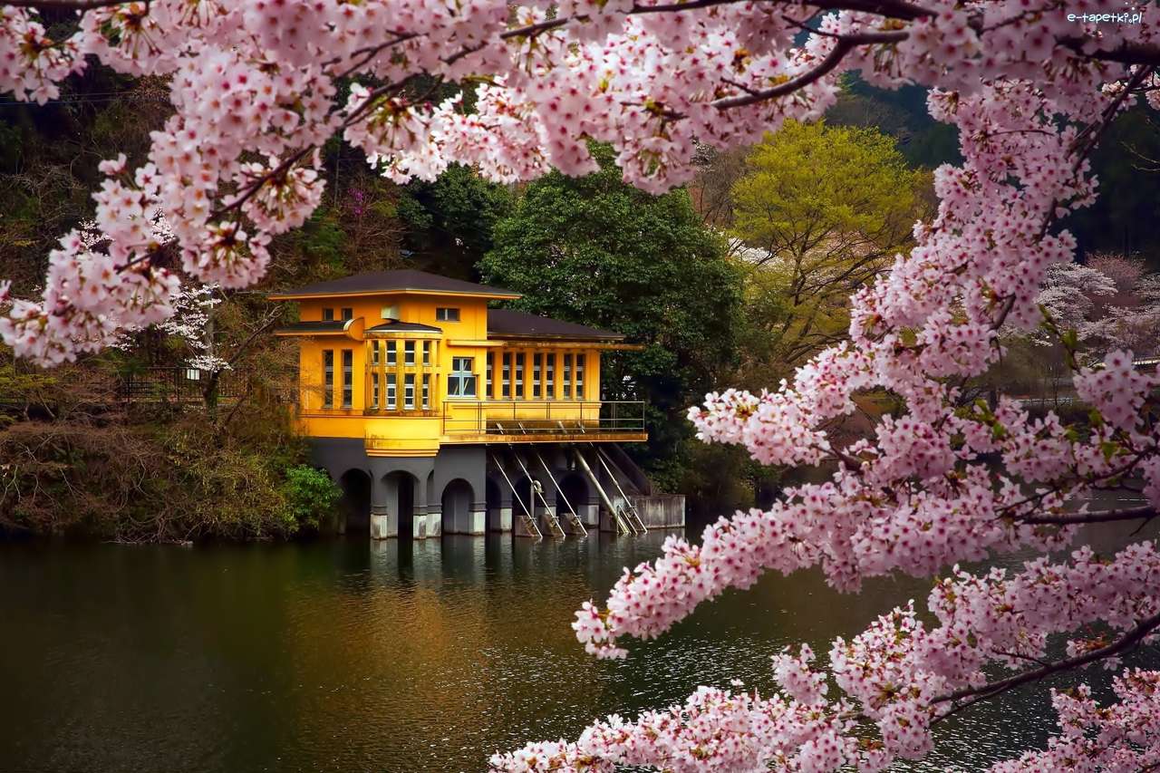Maison japonaise dans la forêt sur la rivière puzzle en ligne