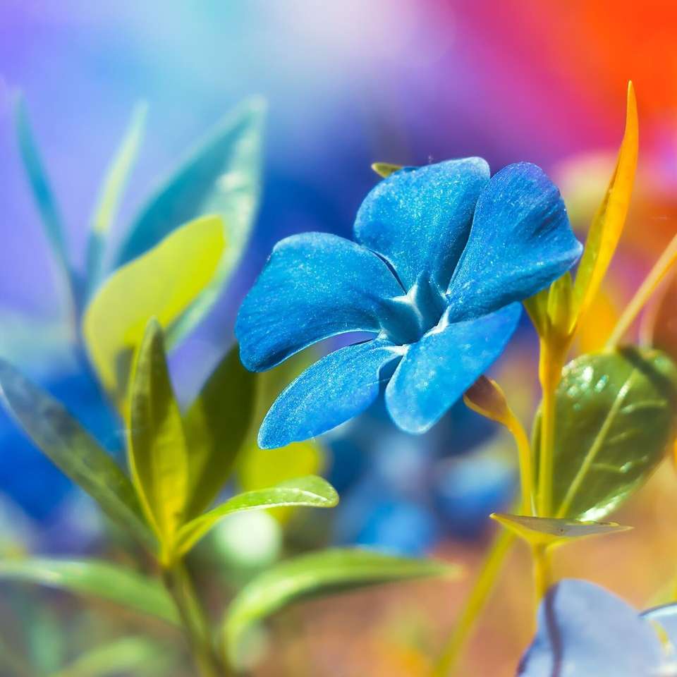 Синий цветок онлайн-пазл
