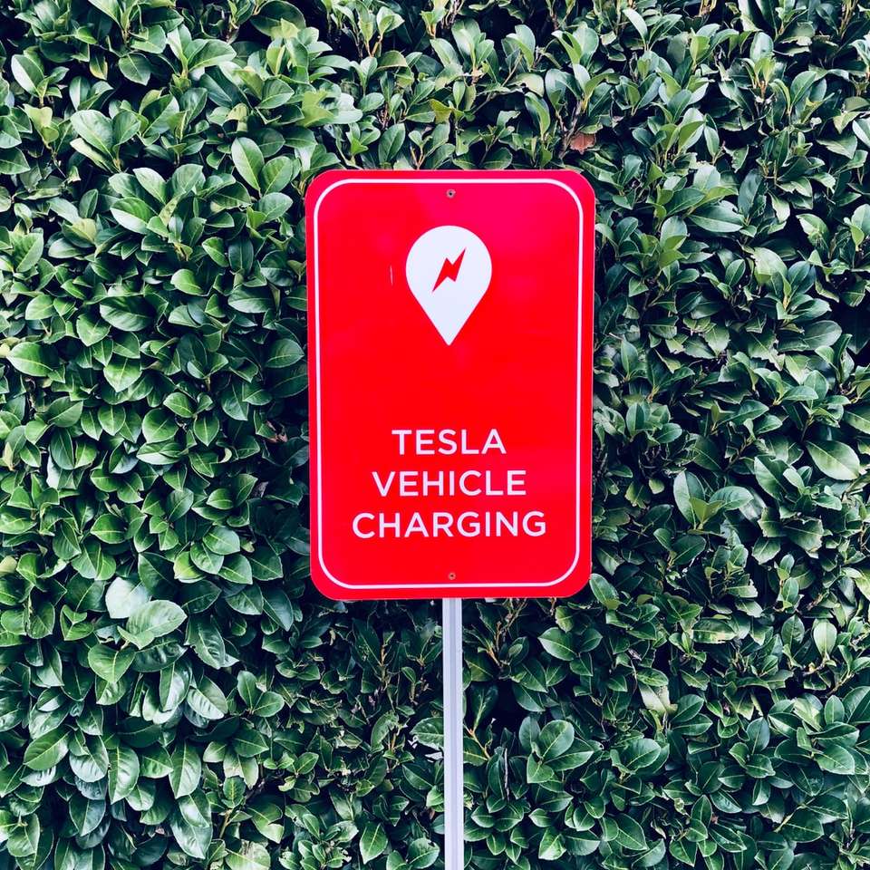 Tesla fordonsladdningsskylt pussel på nätet