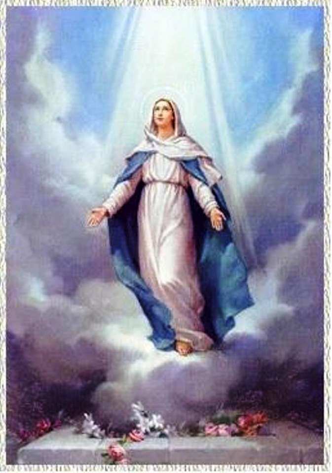 Antagandet av Jungfru Maria pussel på nätet