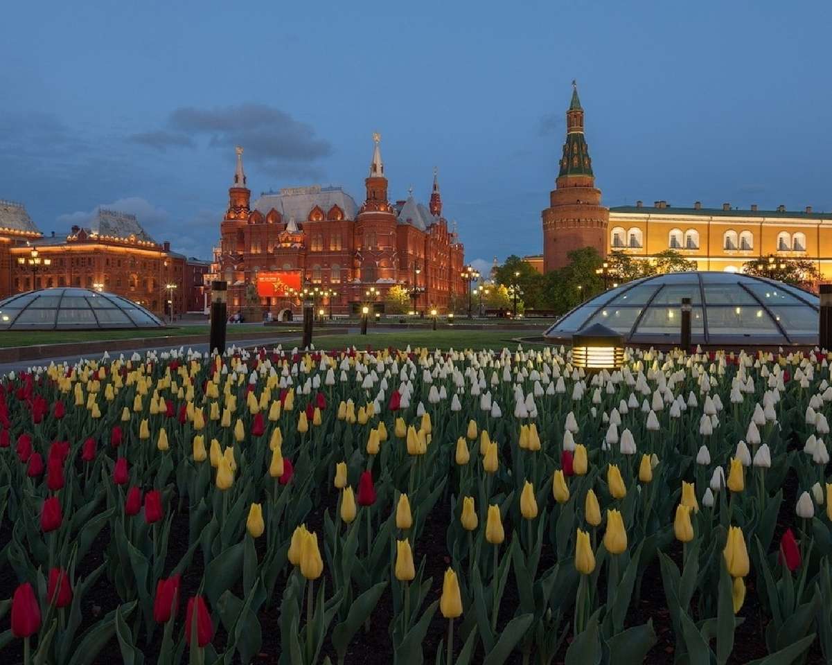 Moskou en tulpenkortingen legpuzzel online