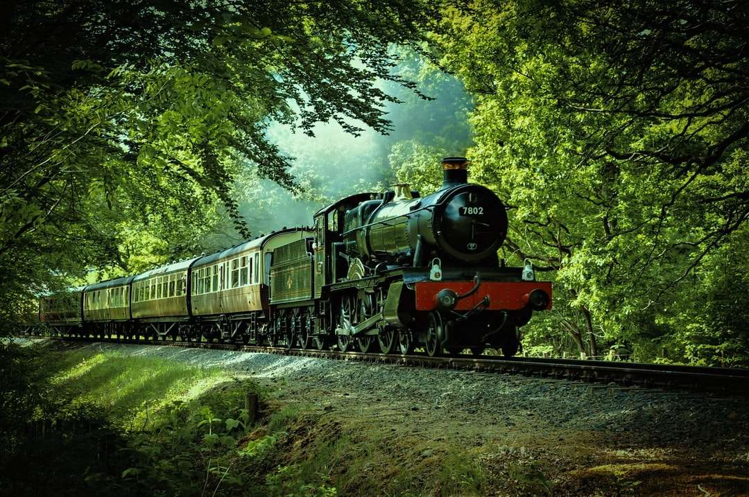 Черно и червен влак минава през гора онлайн пъзел