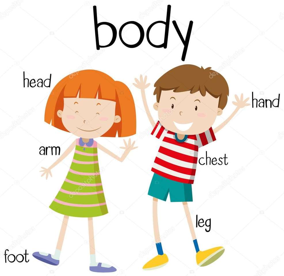 Body parts puzzle for 2nd Grade jigsaw puzzle online