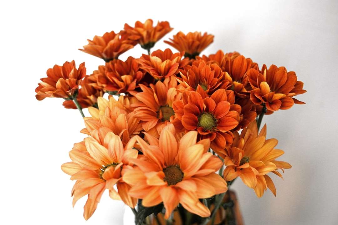 помаранчеві квіти в білій керамічній вазі пазл онлайн