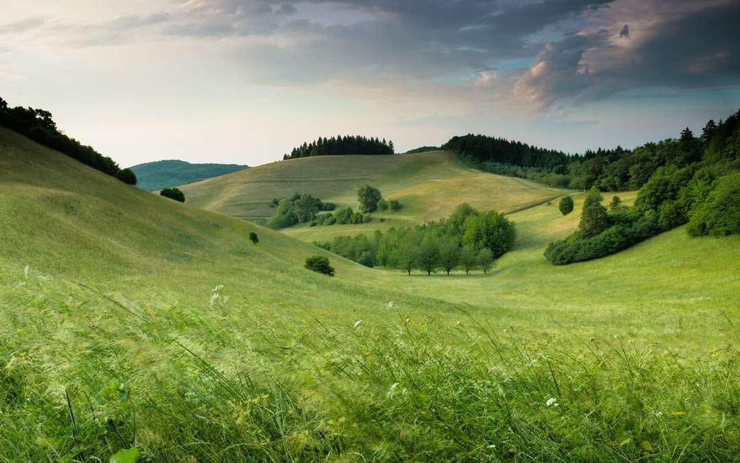 Groene heuvels met bos onder bewolkte hemel overdag online puzzel