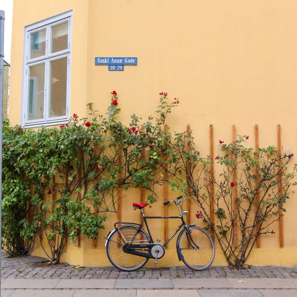 Bicicled estacionado perto de plantas puzzle online