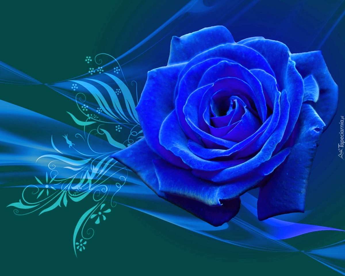 Graphics - blue rose jigsaw puzzle