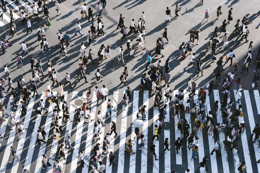 luchtfoto van mensen die op de weg lopen online puzzel