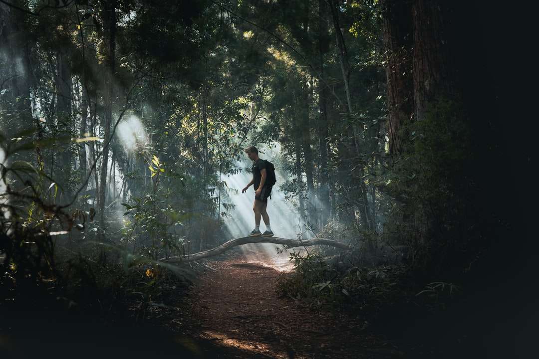 Homme en chemise noire et shorts noirs marchant sur la forêt puzzle en ligne