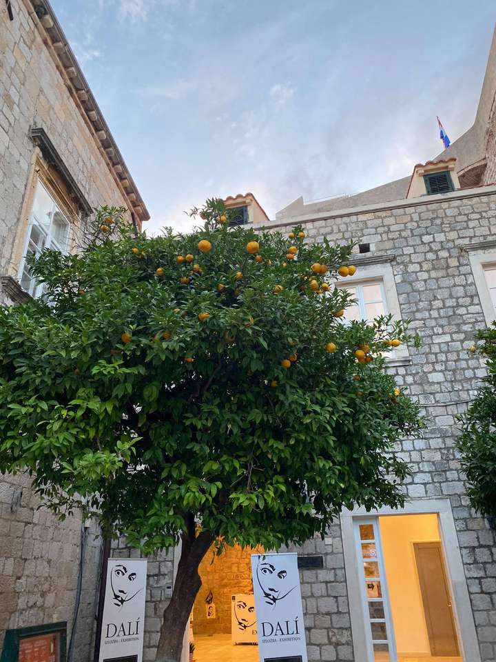 Stradun, Staré Město, Dubrovnik skládačky online