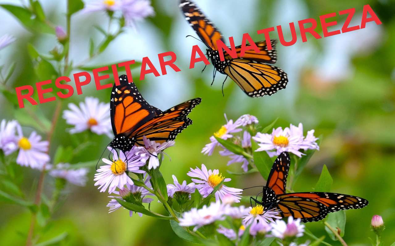 Repeat nature jigsaw puzzle online