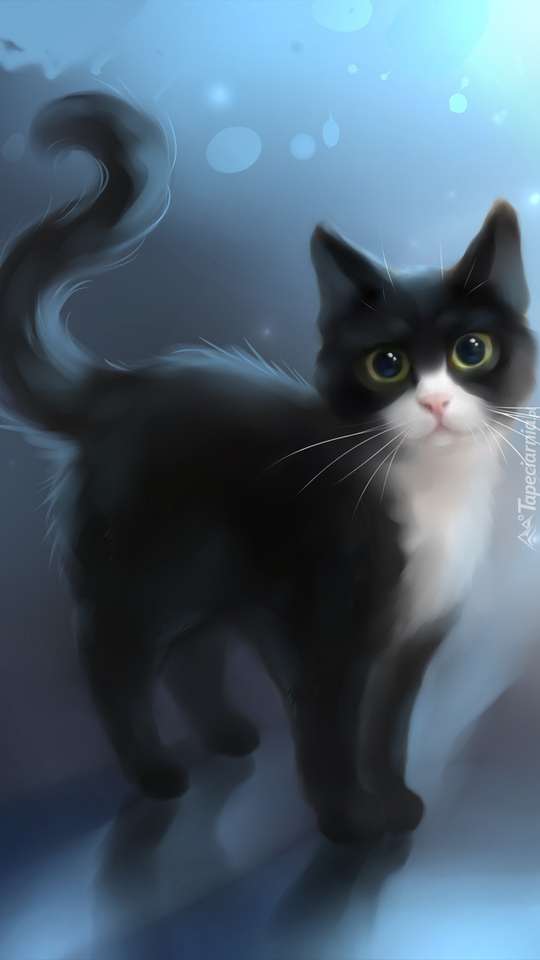 Stirrar svart och vit kattunge pussel på nätet