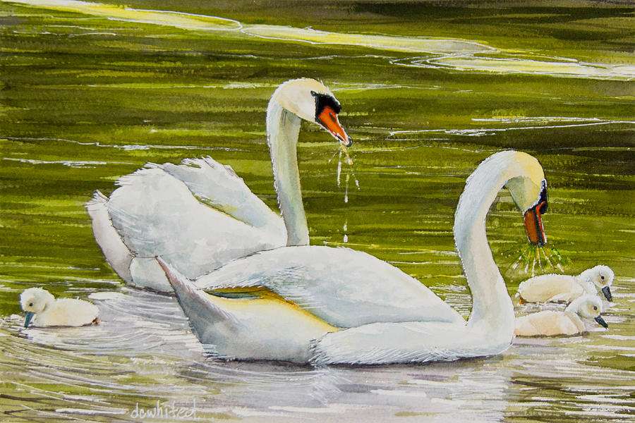 FAMILY FLOING SWAN. Online-Puzzle