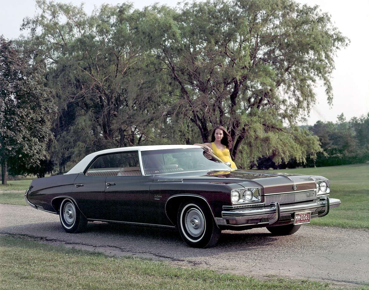 1973 Buick Lesabre обичай онлайн пъзел