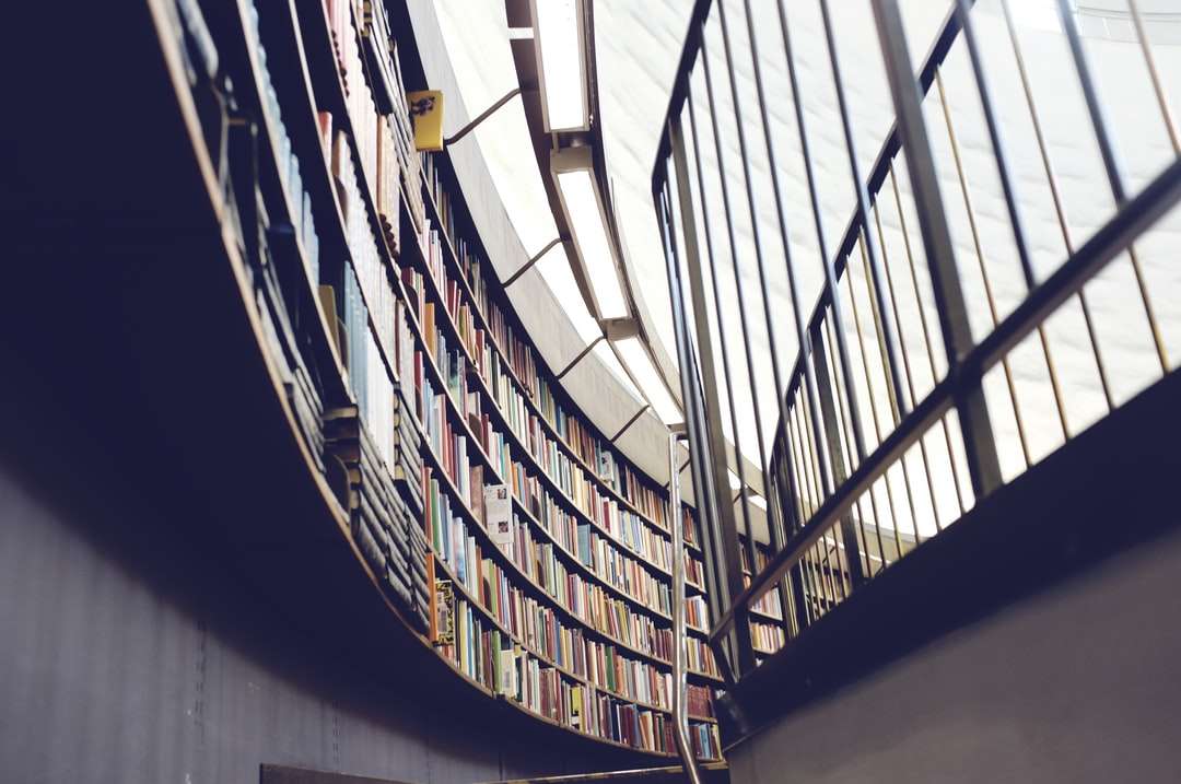 Foto interior arquitectónica de la biblioteca con libros y estante. rompecabezas en línea