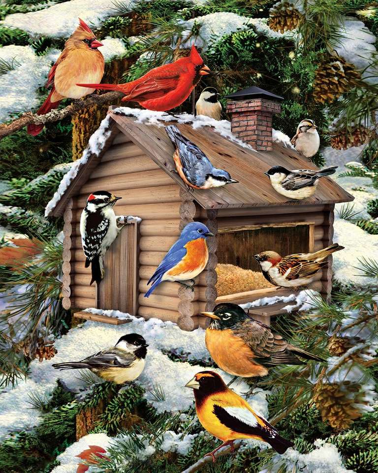 Bird feeder jigsaw puzzle online