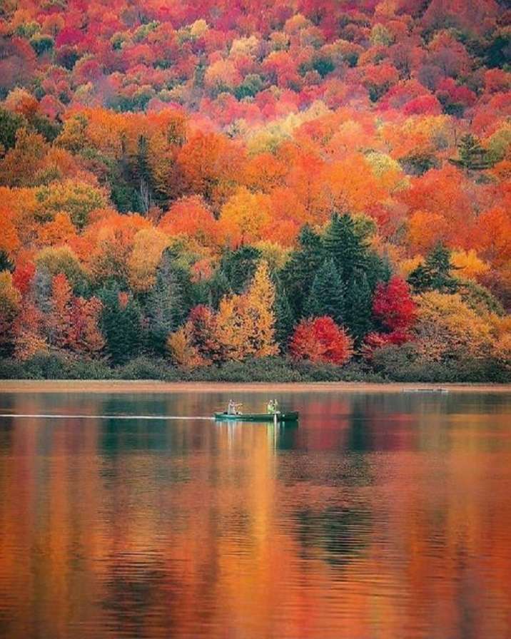 Autumn on the lake. online puzzle