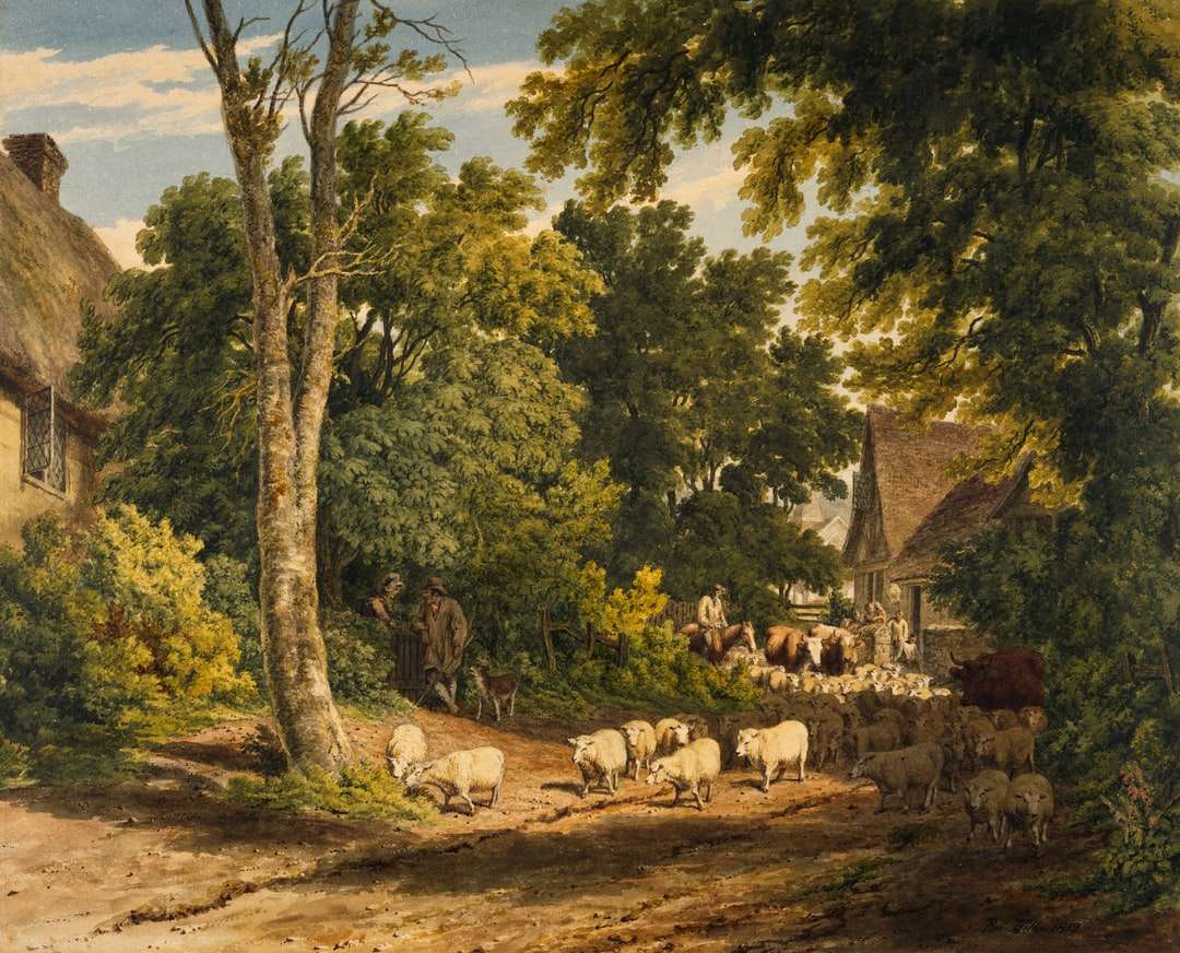 troupeau de moutons sur la peinture routière puzzle en ligne