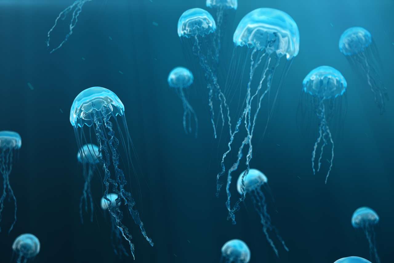 Jellyfish nage dans la mer de l'océan puzzle en ligne