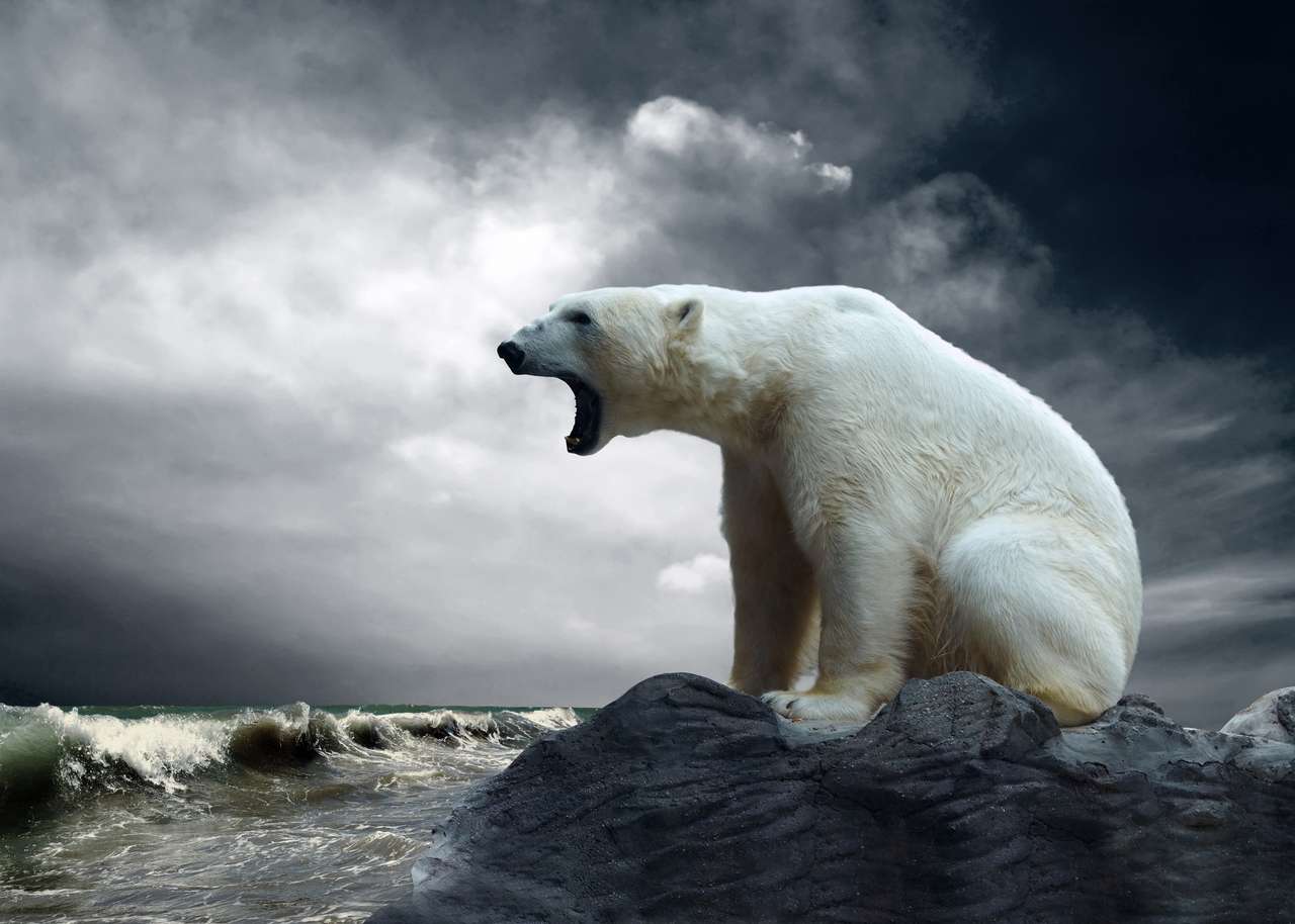 Cazador de oso polar blanco en el hielo en gotas de agua rompecabezas en línea