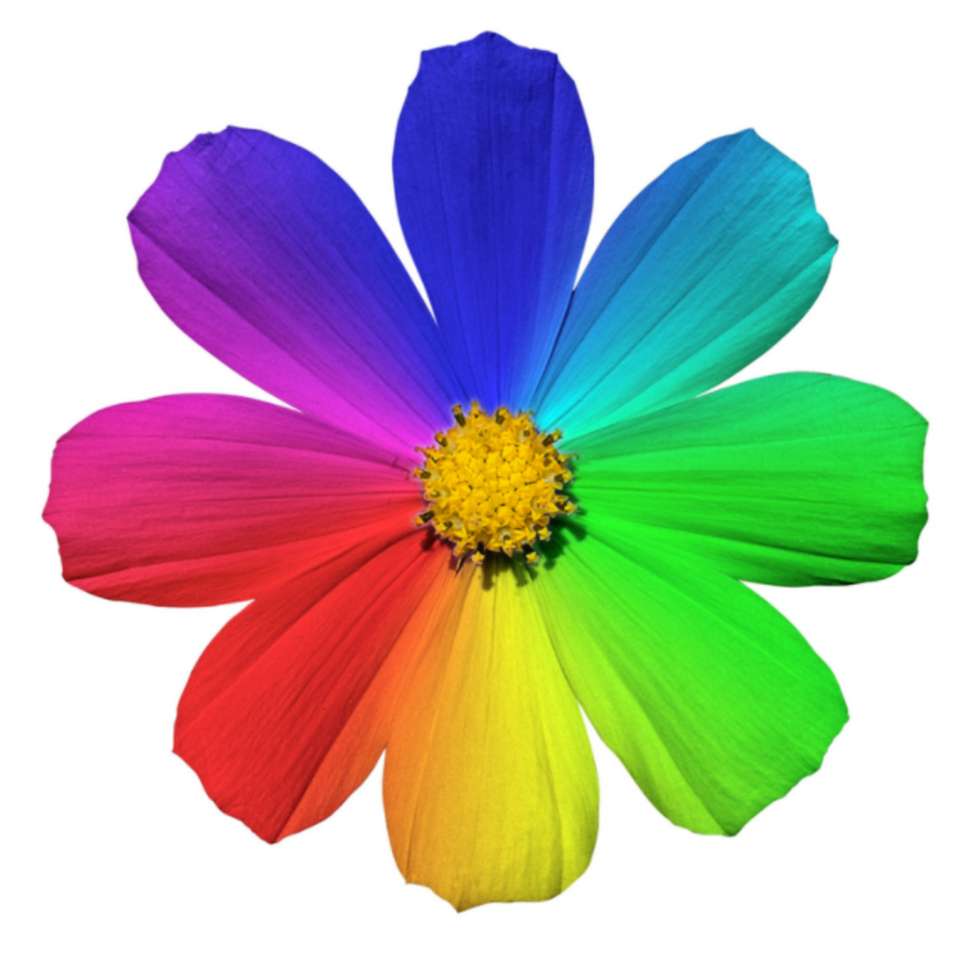 Flor de arco iris rompecabezas en línea