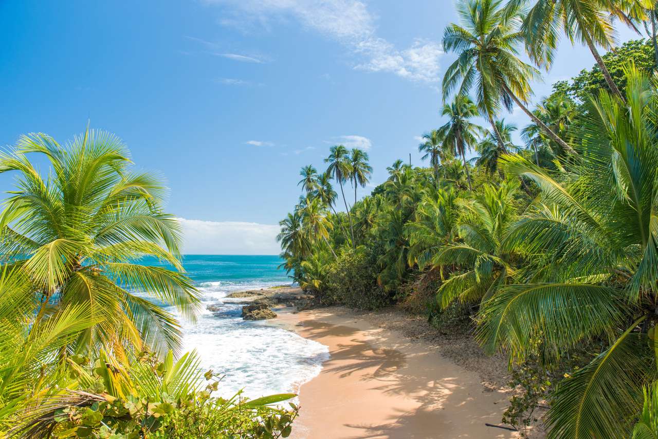 Playa salvaje del Caribe de Manzanillo en Puerto Viejo, Costa Rica rompecabezas en línea