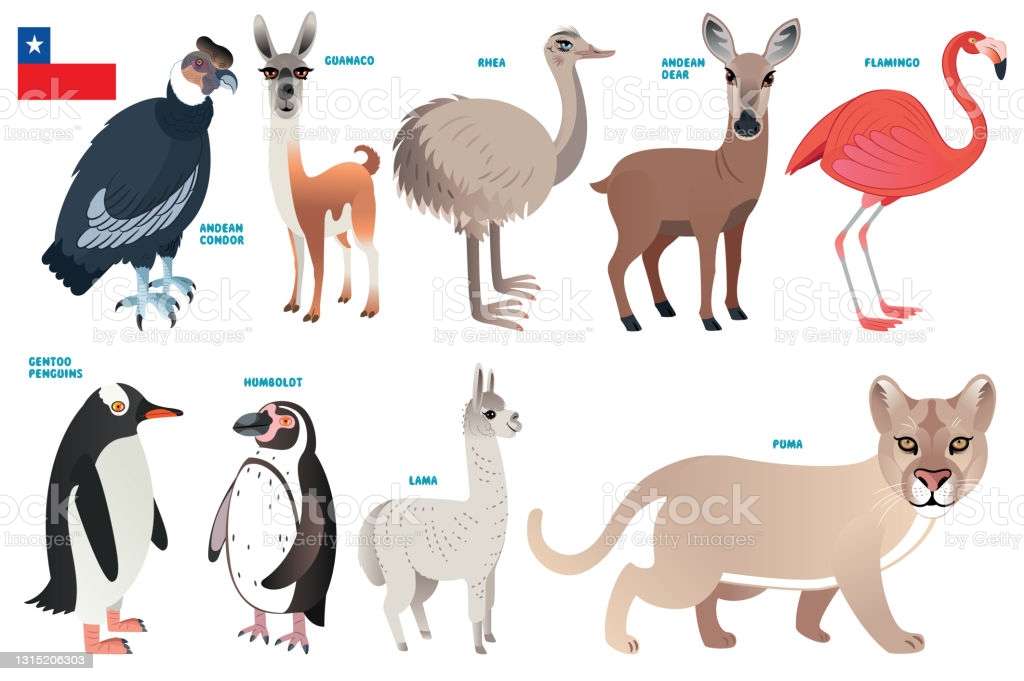 チリの動物 オンラインパズル