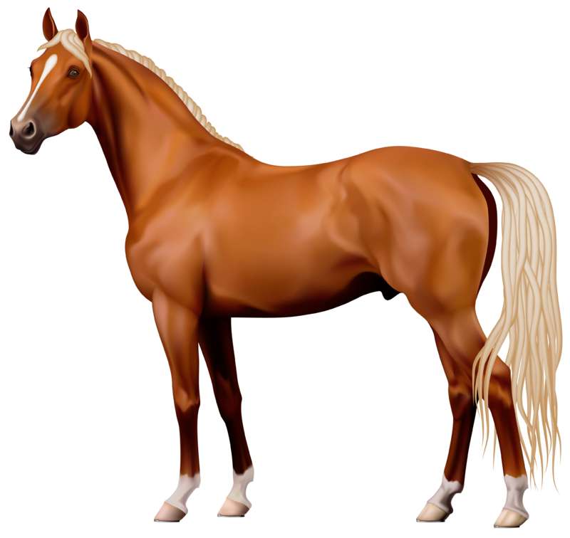 коричневая лошадь онлайн-пазл