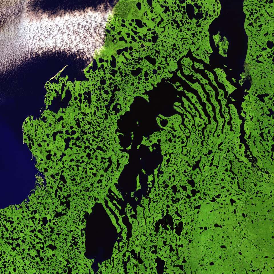 Ilustrația satelit de iarbă puzzle online