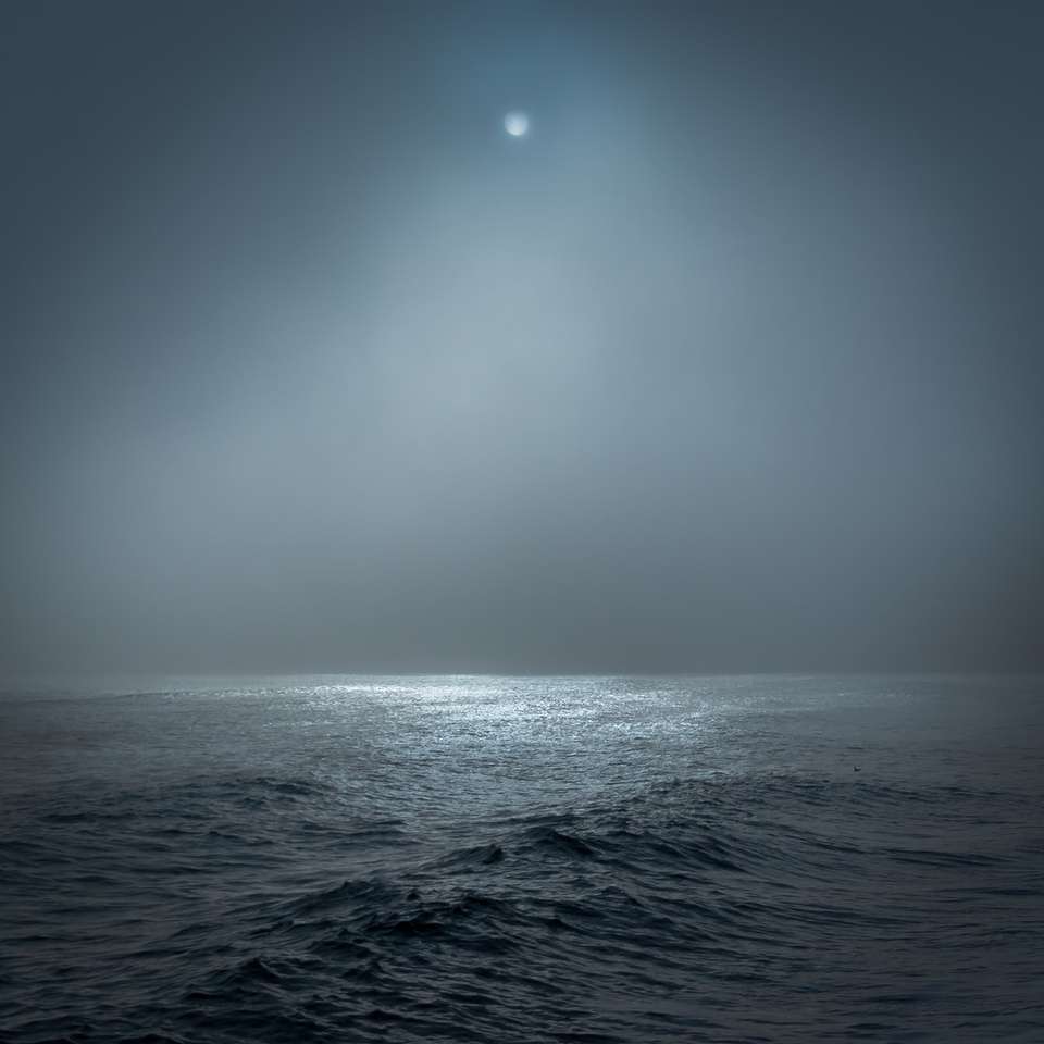 Corpo d'acqua illuminato dalla luna piena puzzle online