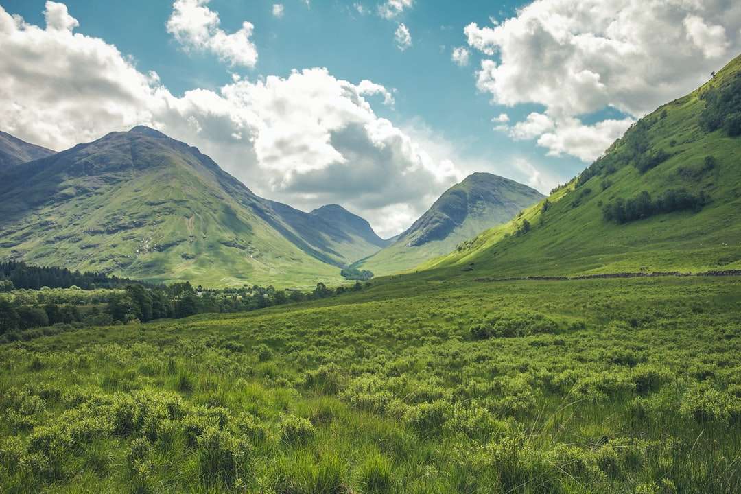 планина, покрита със зелена трева онлайн пъзел