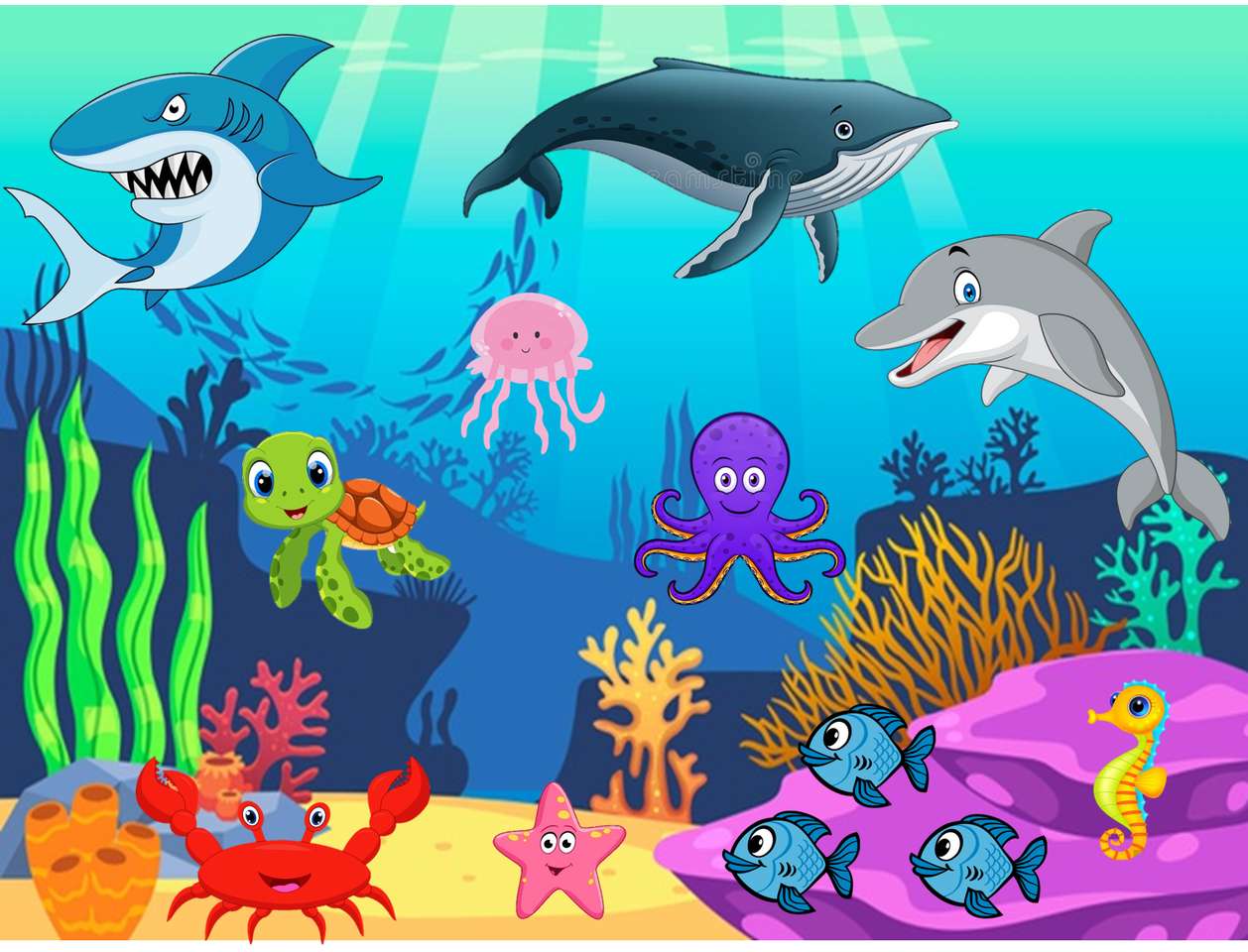 海の動物 ジグソーパズル