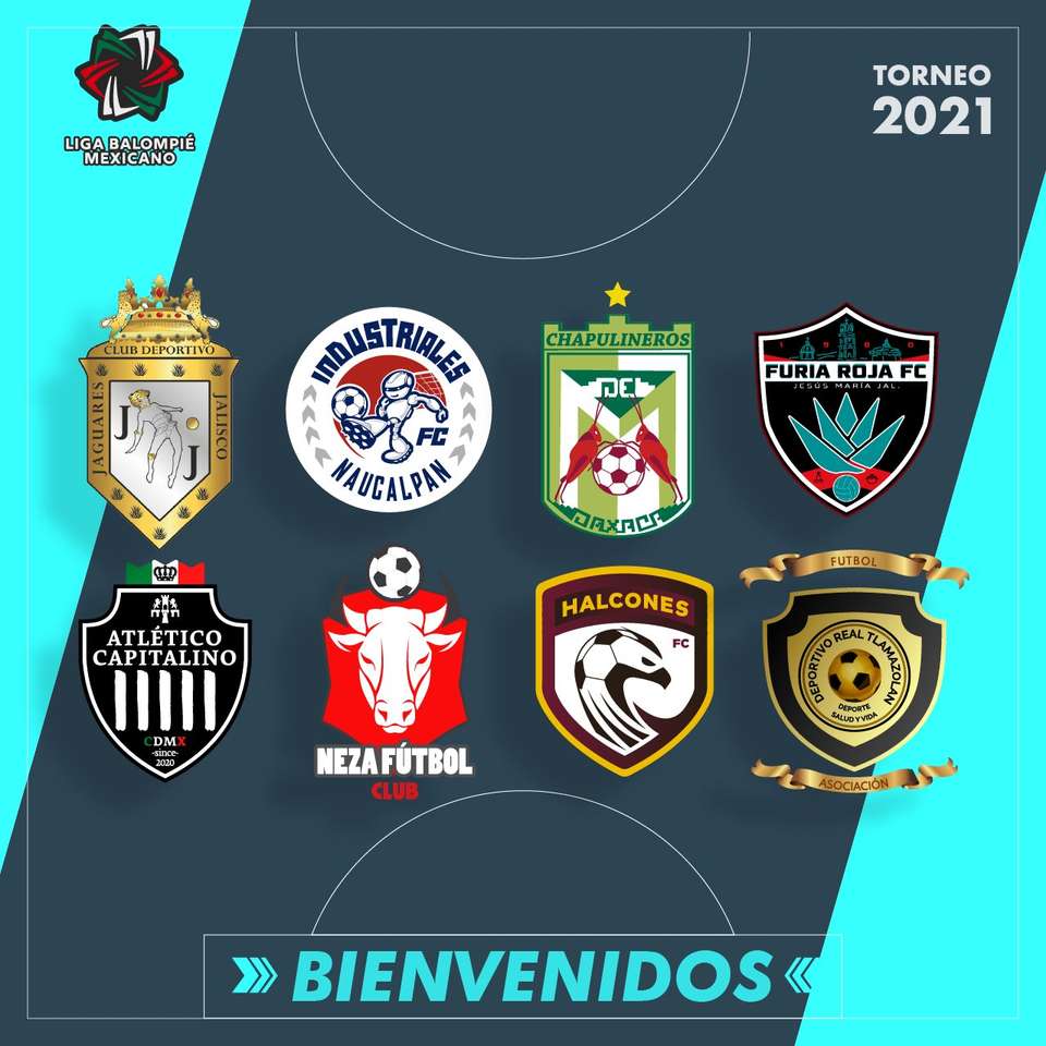 Mexická fotbalová liga. online puzzle