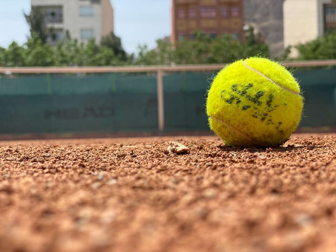 grön tennisboll på brun jord under dagtid pussel på nätet