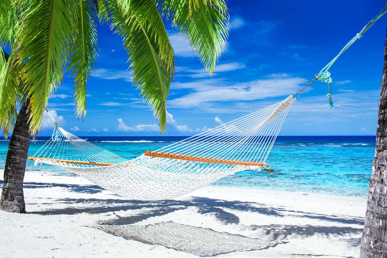 Lege hangmat tussen palmbomen op tropisch strand legpuzzel online