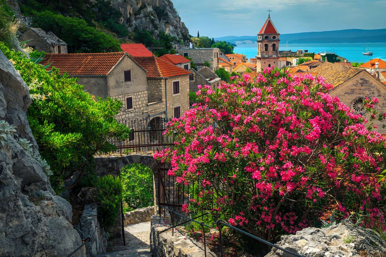 Oleanderové květiny a kamenné domy v Omis Resort online puzzle