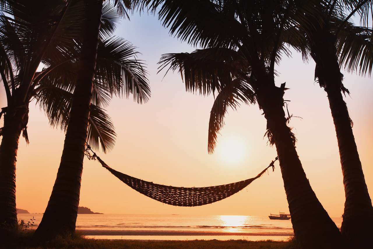 Hangmat en palmbomen op het strand online puzzel
