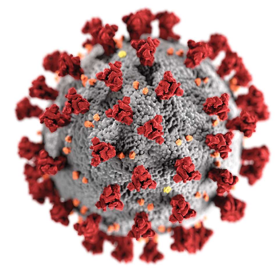 Virus del COVID-19 rompecabezas en línea