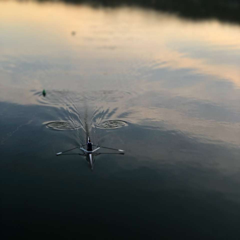 Makro skottfotografi av vatten pussel på nätet