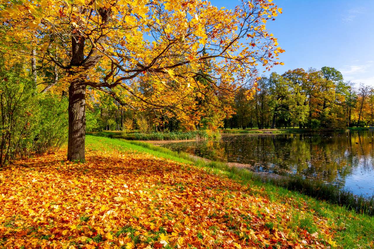 Златна есен (есен) в Александър Парк онлайн пъзел