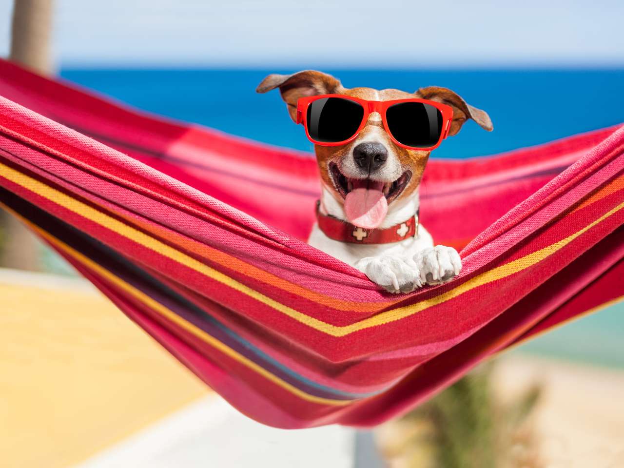 og ontspannen op een mooie rode hangmat met zonnebril legpuzzel online
