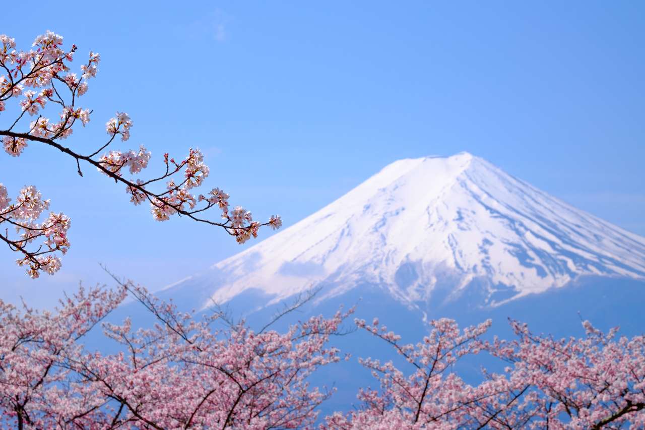 Mount Fuji och Cherry Blossom i Japan vårsäsong (japanskt samtal Sakura) pussel på nätet