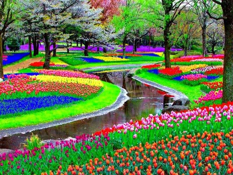 Κήπος λουλουδιών στην Ολλανδία παζλ online