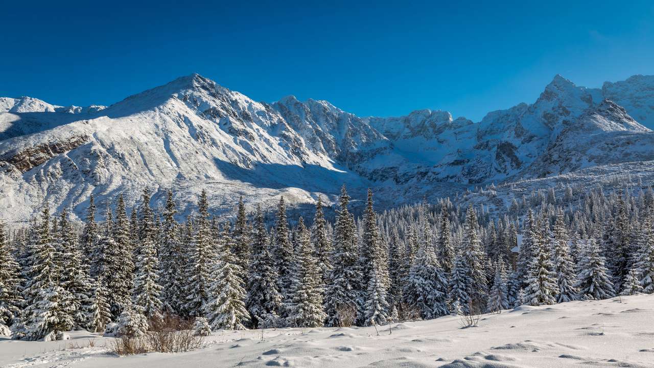 Caminho de montanha com neve no inverno nas Montanhas Tatras, Polônia puzzle online