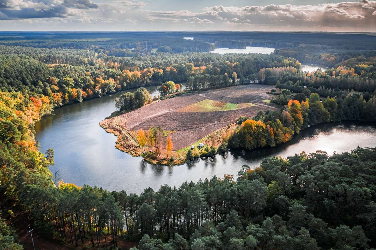 Μεγάλος στριφογυριστός ποταμός και φθινοπωρινό δάσος, Πολωνία online παζλ
