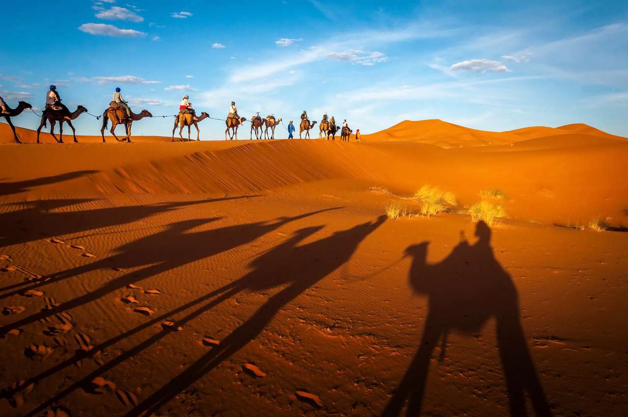 Drumeții în cămile din deșertul Sahara jigsaw puzzle online