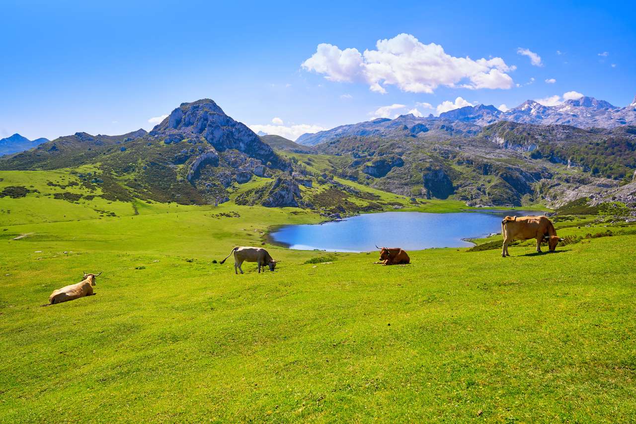 Озеро Ерсіна в Астурії, Іспанія пазл онлайн