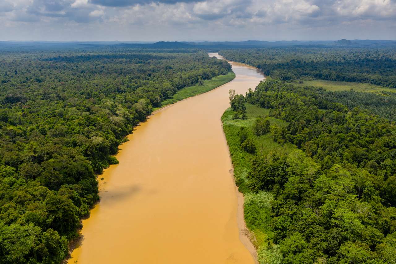 Река Кинабатанган, Борнео онлайн пъзел