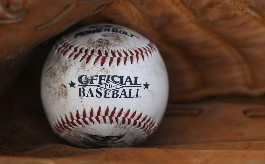 Bola de béisbol oficial cubierta de suciedad rompecabezas en línea