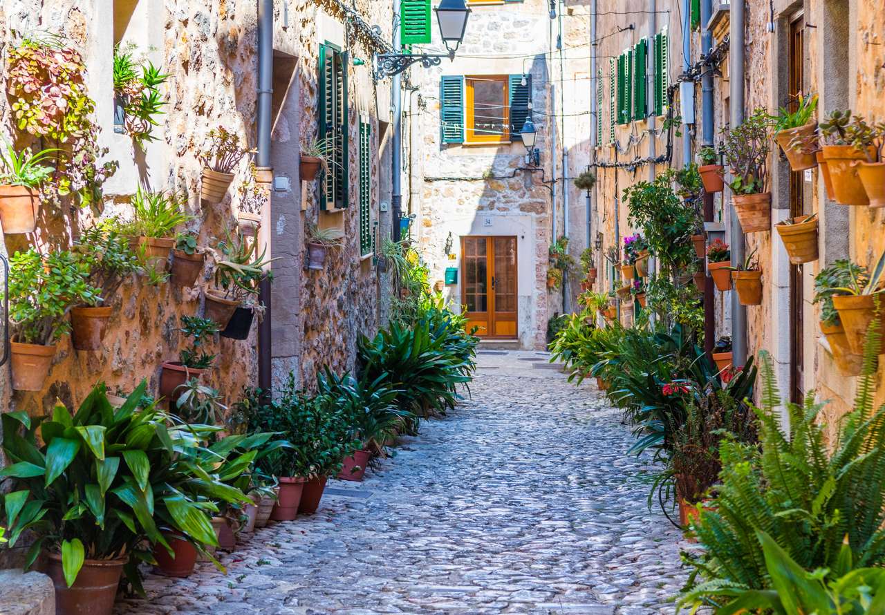 Plant Street in Valldemossa, Mallorca online puzzel